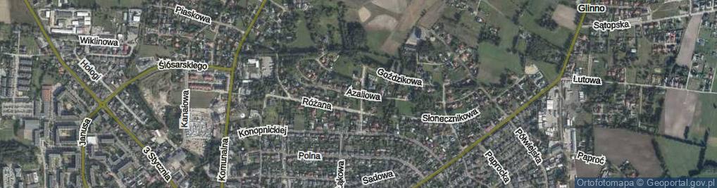 Zdjęcie satelitarne Azaliowa ul.